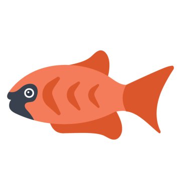 Molly balığı gezegendeki havalı balıktır 