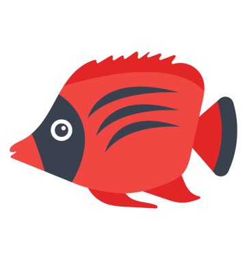 Deniz angelfish Pasifik Okyanusu'nda bulunan alev Angelfish 's