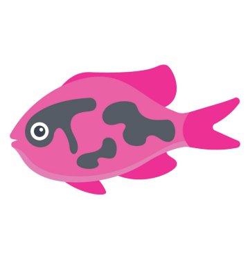 Şeritler ve kaplan barb temsil eden burun ile bir tropikal akvaryum balık 