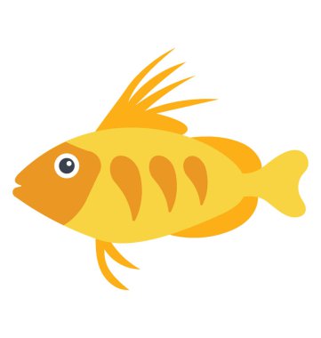 Bir orta boy tatlı su tropikal balık, değişken Platy balık