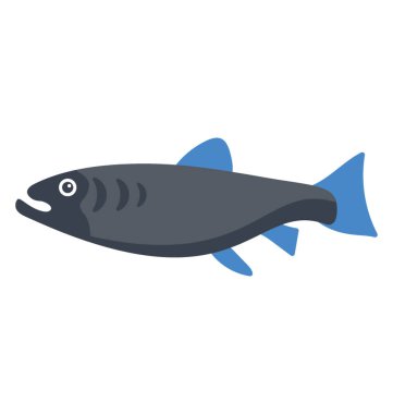 Bir büyük boy siyah renkli balık, siyah molileri