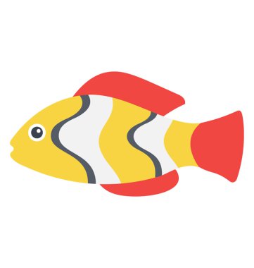 Bir deniz hayvanı turuncu ve beyaz tasarım kaplan barb balık tasvir vücudunda şeritler. 