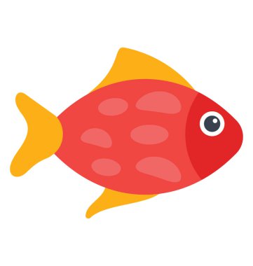 Bir güzel deniz yaratık cins papağan balık tatlısu karakteristik kan papağan balık yaşıyor 