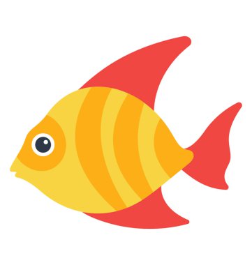 Uzun geniş gövdeli ve yüzgeçleri, tatlım gurami sahip bir tropikal deniz balıkları