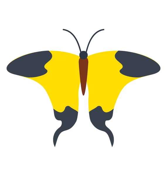 Ein Schmetterling Mit Weichen Mustern Und Geflügeltem Schwalbenschwanz Ikone Des — Stockvektor