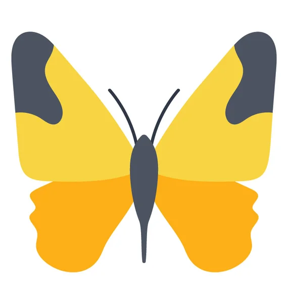 Icono Que Muestra Diseño Mariposa Con Manchas Negras Este Icono — Vector de stock