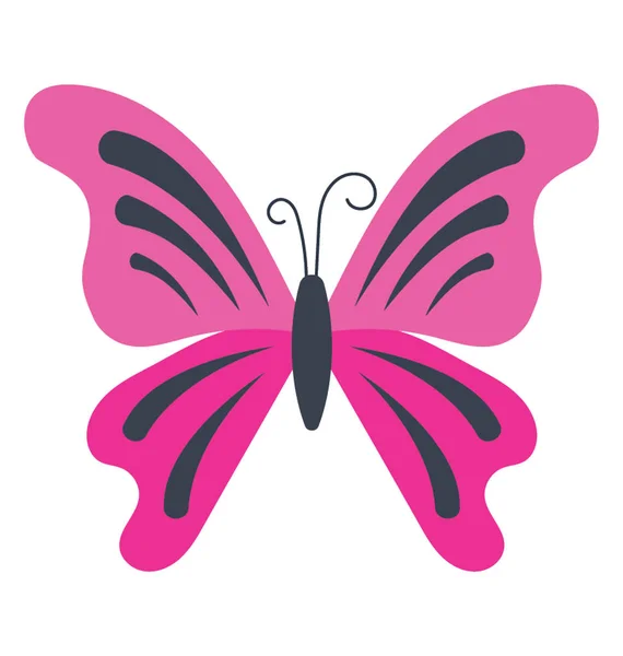 Mariposa Con Patrones Líneas Las Alas Icono Para Mariposa Myscelia — Vector de stock