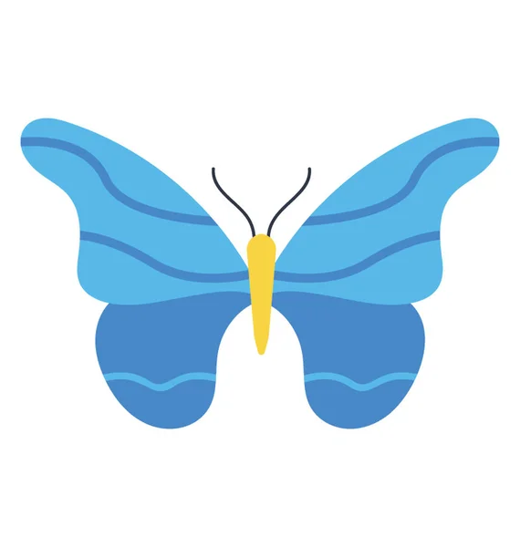 Ένα Εικονίδιο Που Περιγράφουν Πεταλούδα Φλέβες Μοτίβα Φτερά — Διανυσματικό Αρχείο