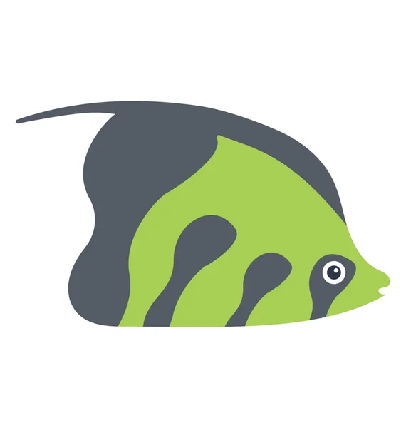 Široké Tělo Ryby Navržený Vzor Typy Skaláry Zvané Mramorové Skaláry — Stockový vektor
