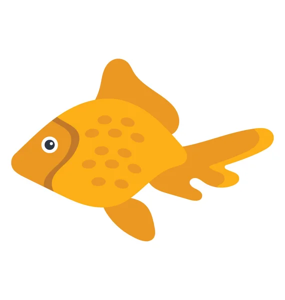 Cute Orange Yellow Medium Size Fish Typically Kept Aquariums Small — Stock Vector