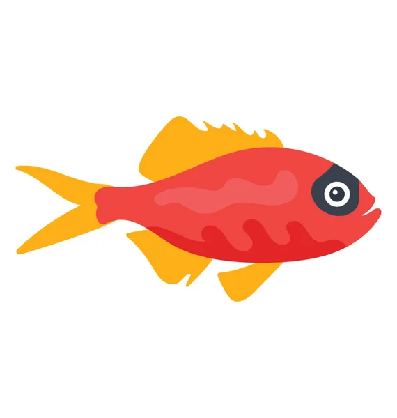 Mar Goldie Peixe Também Conhecido Como Lyretail Coralfish — Vetor de Stock