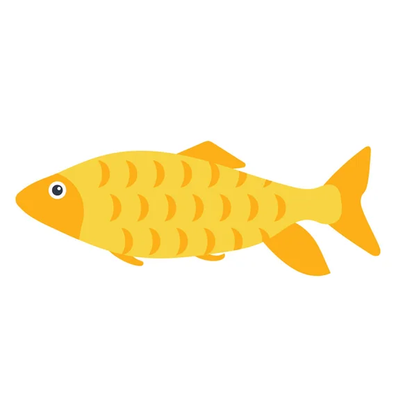 Cute Orange Yellow Medium Size Fish Typically Kept Aquariums Small — Stock Vector