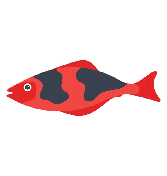 Rochenflossenartige Tropische Meeresfische Barbusfische — Stockvektor