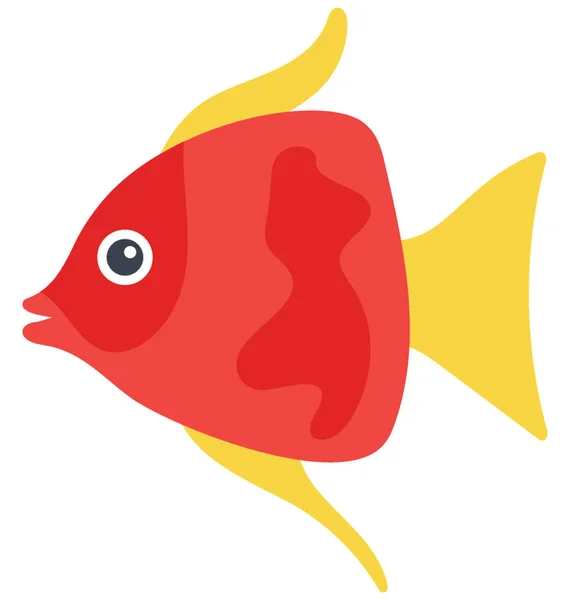 Peixe Com Corpo Largo Com Barbatanas Minúsculas Cauda Peixe Anjo — Vetor de Stock