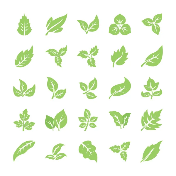 Pack Iconos Planos Hoja — Archivo Imágenes Vectoriales