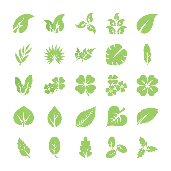 Conjunto Iconos Planos Hoja — Vector de stock