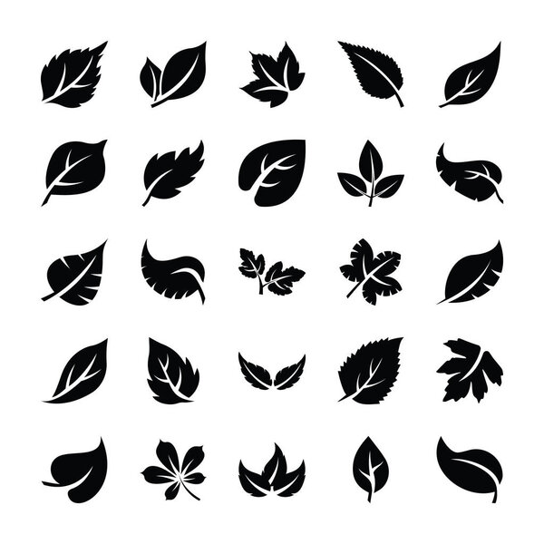 Leaf Vector Glyphh Icons
 