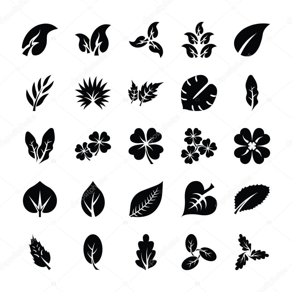 Leaf Glyph Icon Set 