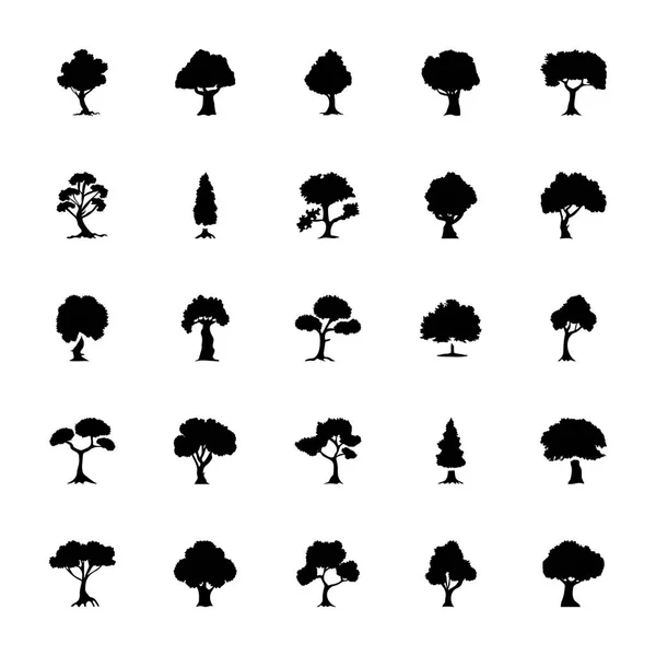 Árvores Conjunto Ícones Vetoriais Sólidos — Vetor de Stock