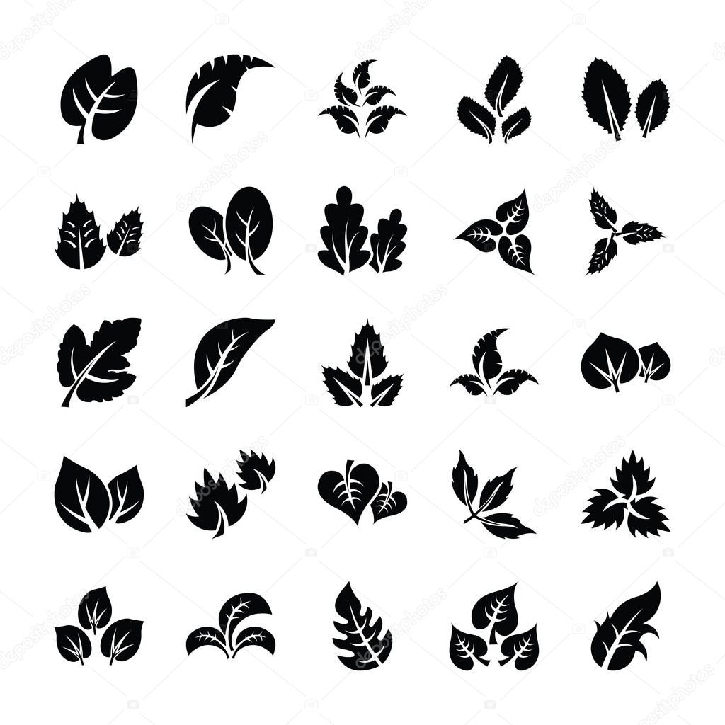 Leaf Glyph Icon Pack 