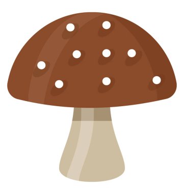 Kahverengi renk beyaz lekeler mantar resmeden ile gölgede şemsiye şeklinde bir sebze 