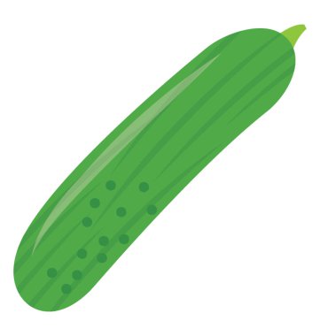 Kabak şişe hakkında bir fikir veren bir uzun yeşil sulu sebze 