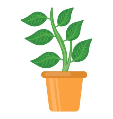 Yeşil yaprakları ile kök bitki tasvir büyüyen ile çamur pot