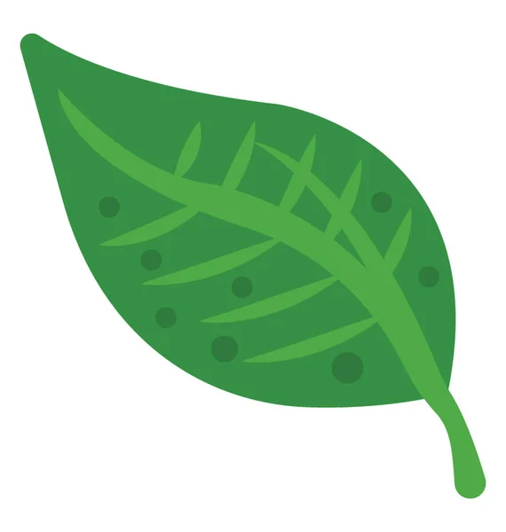Una Hoja Planta Fresca Color Verde Con Venas Corteza Este — Vector de stock