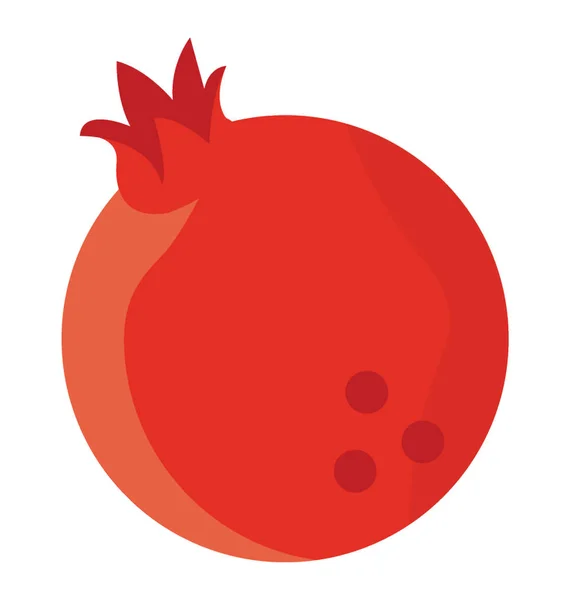 Kırmızı Yuvarlak Ince Shelly Deri Ile Sulu Tohumlu Meyve Nar — Stok Vektör