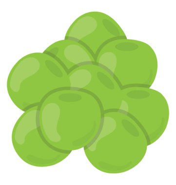 Yuvarlak şekilli Yeşil taze sebze yuvarlak kabak tasvir 