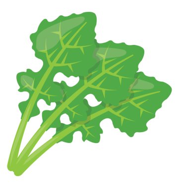 Bir bahçe maydanoz bir yapraklı bitki yemek süsleme için olduğunu 