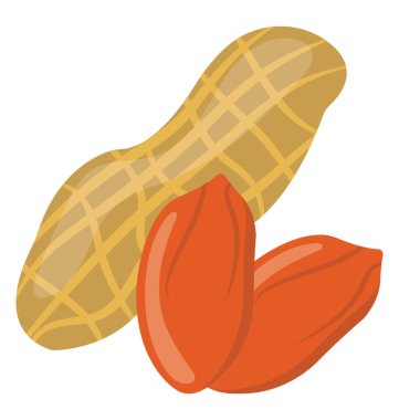 Bir saltish hafif kahverengi gölgede genellikle kavrulmuş sonra yenen yere Fındık Aromalı 