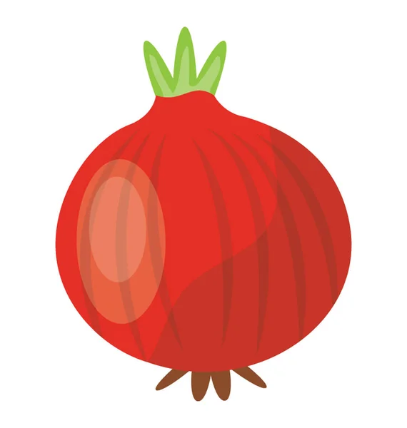 一种红色的略带紫色皮肤的蔬菜 里面有白色肉质的身体 里面描绘着红洋葱蔬菜 — 图库矢量图片