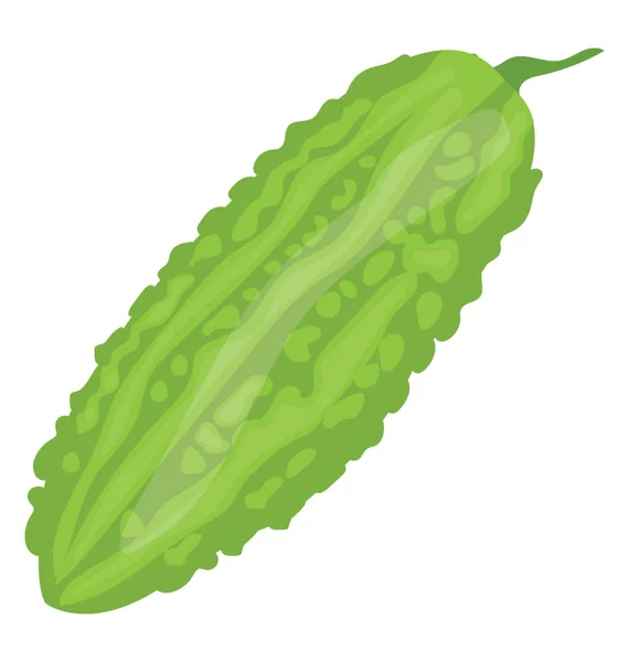 新鲜的绿色蔬菜 苦味的种子里面叫苦瓜 — 图库矢量图片
