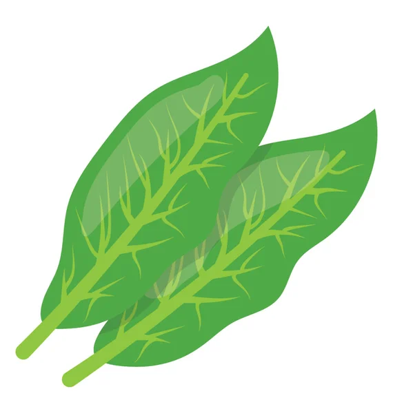 Groene Bladgroenten Gebruikt Soep Salade Voorbereiding Bladeren Van Zuring — Stockvector