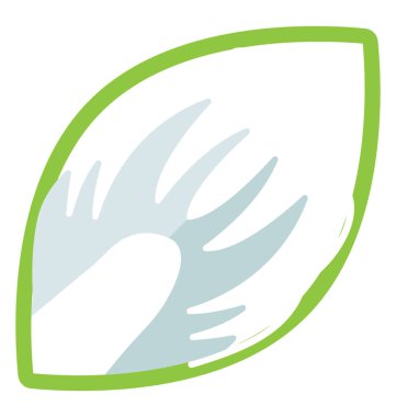 Bir yaprak yeşil sebze ile kök ve tohum salata hazırlık veya marul adlandırılan süsleme için 