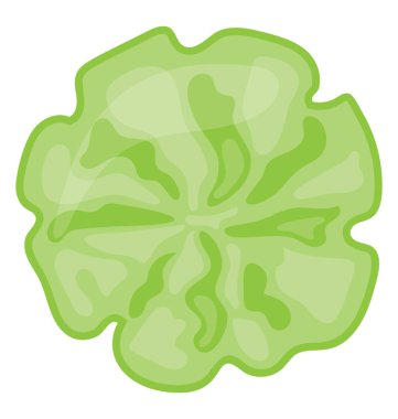 Salatalık garnitür ve ekleme güzellik yemek ve salata üzerinde yapılan bir çiçek şekil