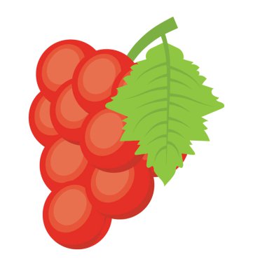 Bir demet kırmızı üzüm simgeleyen kırmızı renkli küçük meyveler