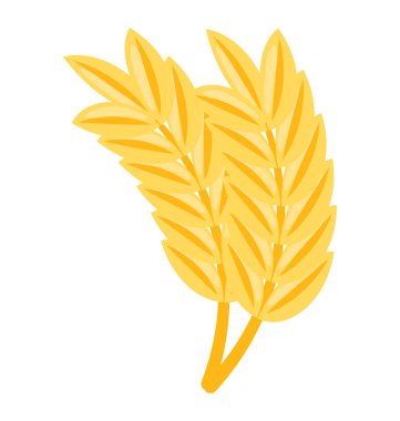 Dünya çapında Gıda için kullanılan ve hamur yapma ekili Tahıl tahıl 