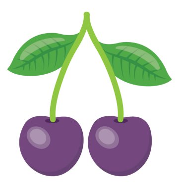 Berry meyve mor renkli kiraz ve Erik denilen kiraz eriği mix tadına sahip gibi 