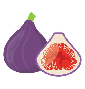 Dut aile tatlı tadı ortak meyve wella s kurutulmuş, mor incir olarak olarak kullanılan bir yenilebilir çiçekli bitki 