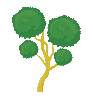 Bonsai çam ağacıdır küçük dairesel yaprak ve dal yapısı ile