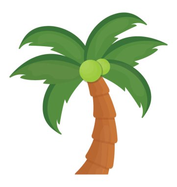 Ağaç yaprak çiçek yapılandırılmış palm ailesine ait, bu Hindistan cevizi ağacı  