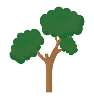 Pinus bonsai küçük dairesel yaprak ve dal yapısı ile bir ağaçtır  