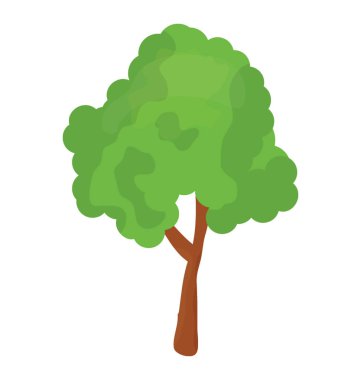 Basswood ağaç simgesiyle ifade eden nektar dolu olan ağaç yapraklar  
