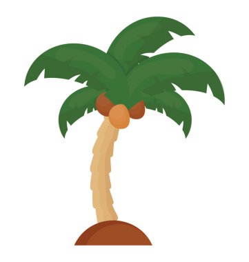 Ağaç yaprak çiçek yapılandırılmış palm ailesine ait, bu Hindistan cevizi ağacı  