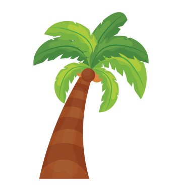 Tropical tree with leaves shaped like a hand showing palm tree clipart