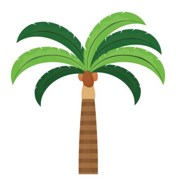 Ağaç yaprak çiçek yapılandırılmış palm ailesine ait, bu areca ağaç  