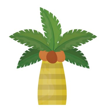 Tropikal Hindistan cevizi ağacı düz simgesi tasarım 