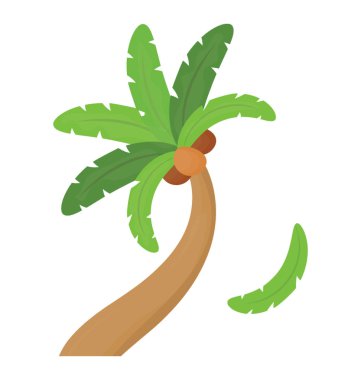 Ağaç yaprak çiçek yapılandırılmış palm ailesine ait, bu Hindistan cevizi ağacı  